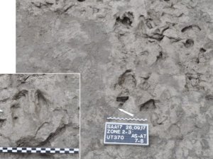 archéologie
